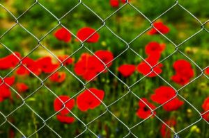 5 reasons why chain link fences are perfect for businessess